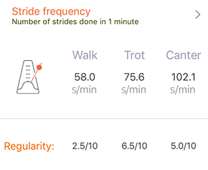 Example cadence