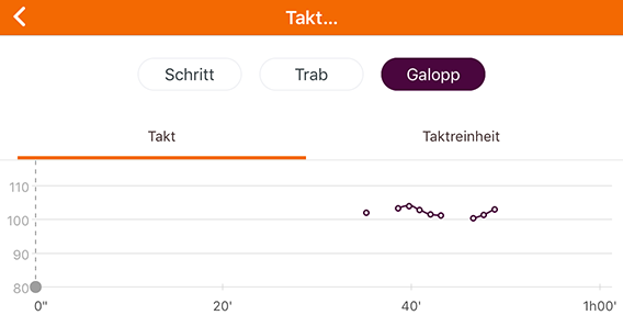 Beispiel eines regelmäßigen Takts im Galopp Beispiel eines regelmäßigen Takts im Galopp