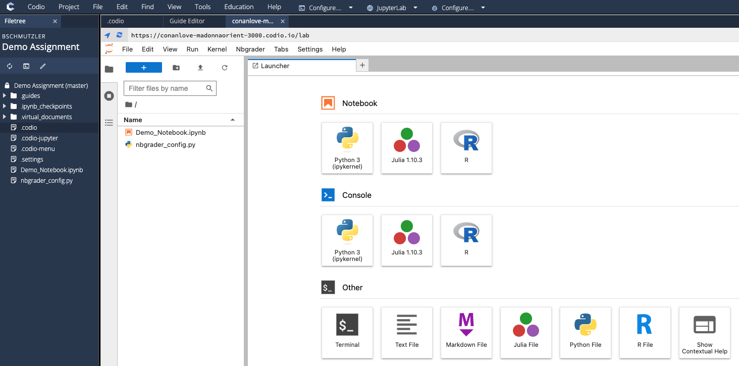 JupyterLab preview File Browser