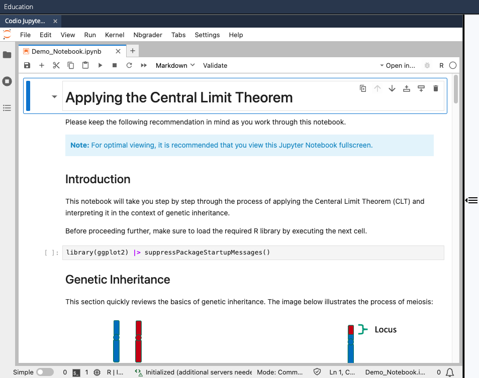 Codio Jupyter Lab preview