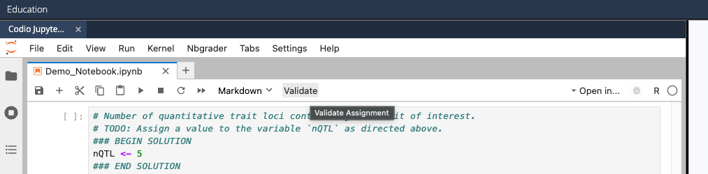 Click Validate button to check that all NbGrader tests pass