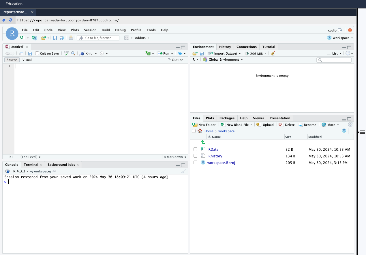 Initial RStudio window