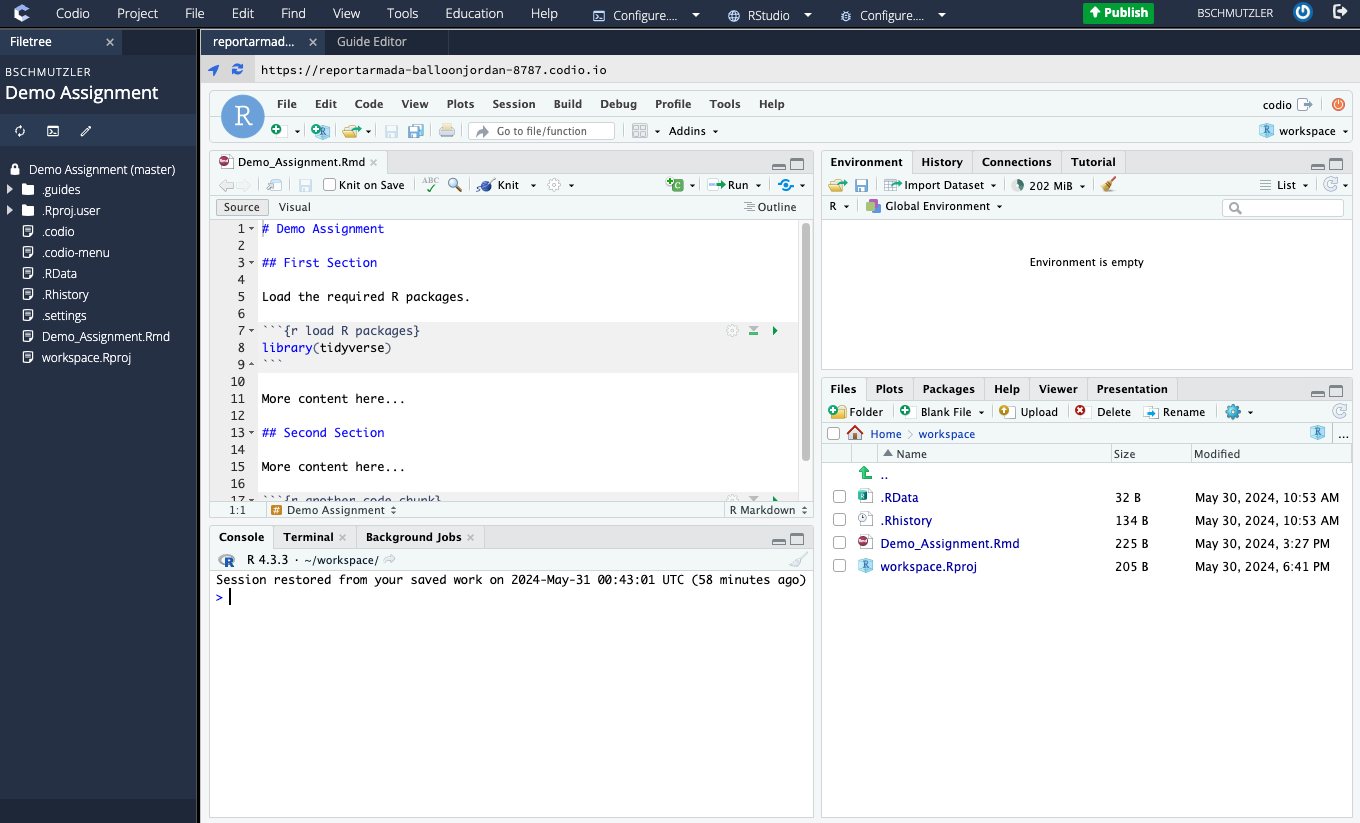 RStudio preview in Edit mode