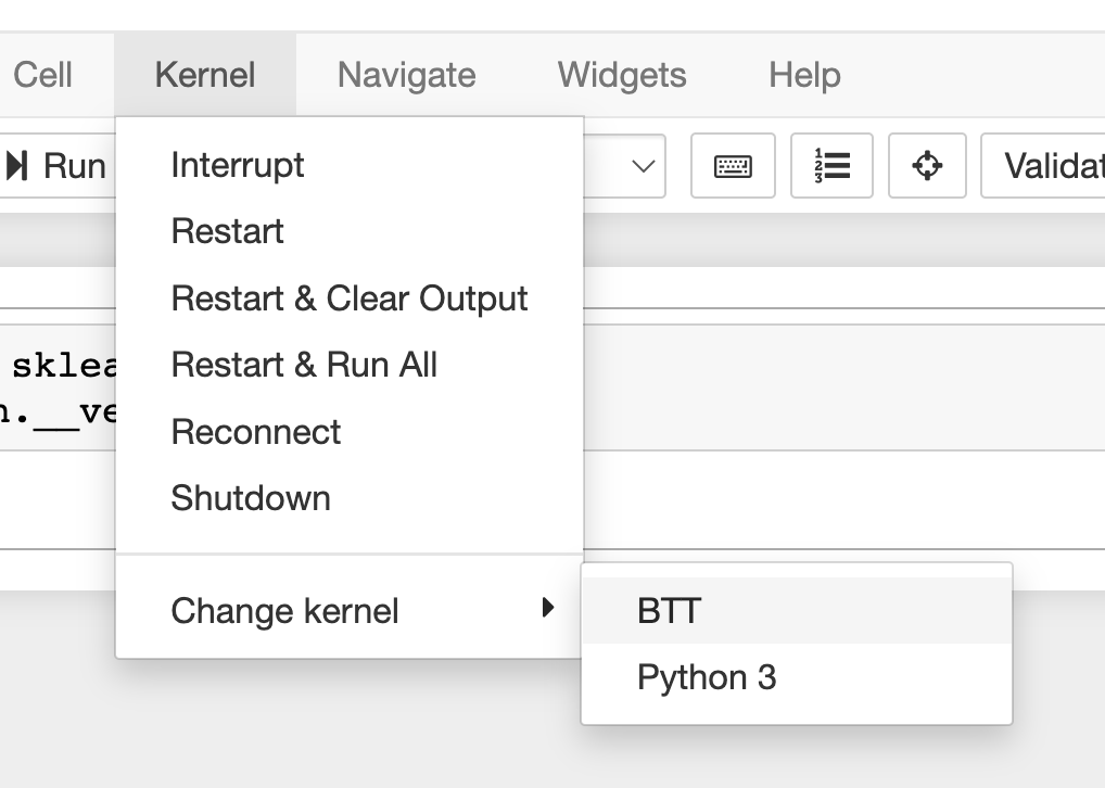 Jupyter Notebook menu showing Python3 and BTT kernel options