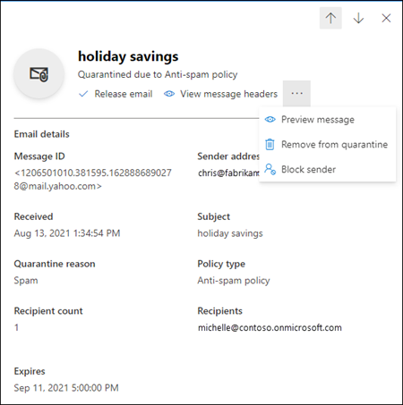 The details flyout of a quarantined message.