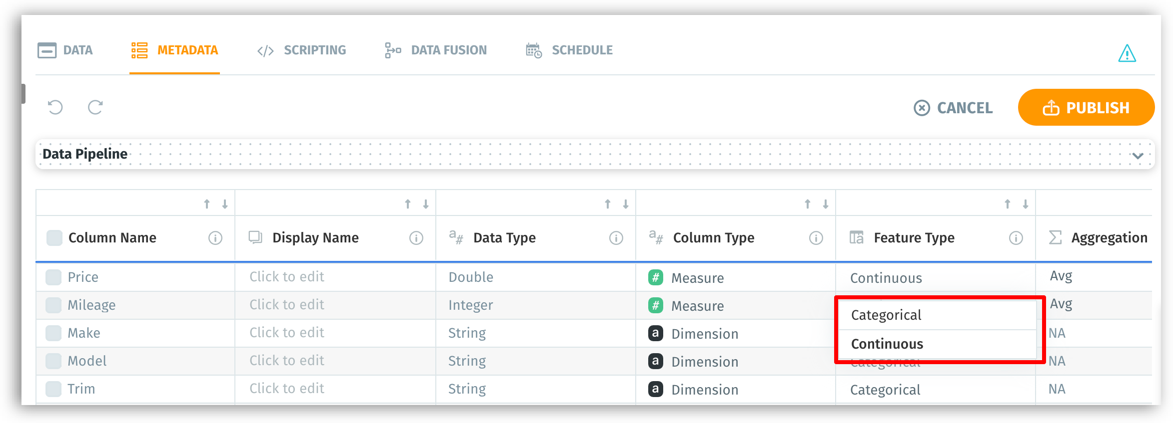 Continuous or categorical feature type