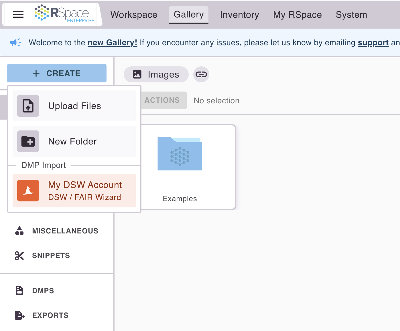 Screenshot of the RSpace gallery with the Create menu expanded, showing an option to import from the DSW instance configured earlier