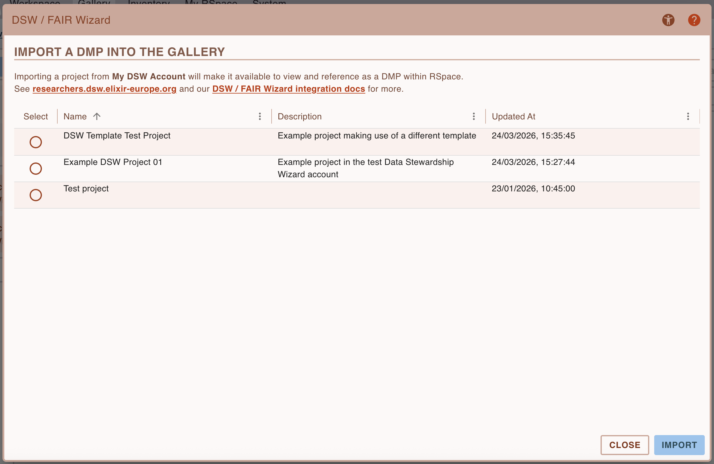 Screenshot of the DSW / FAIR Wizard project import dialog