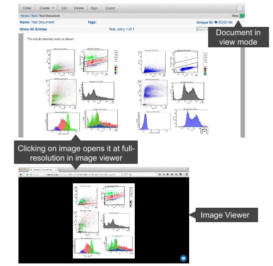 Viewing Images