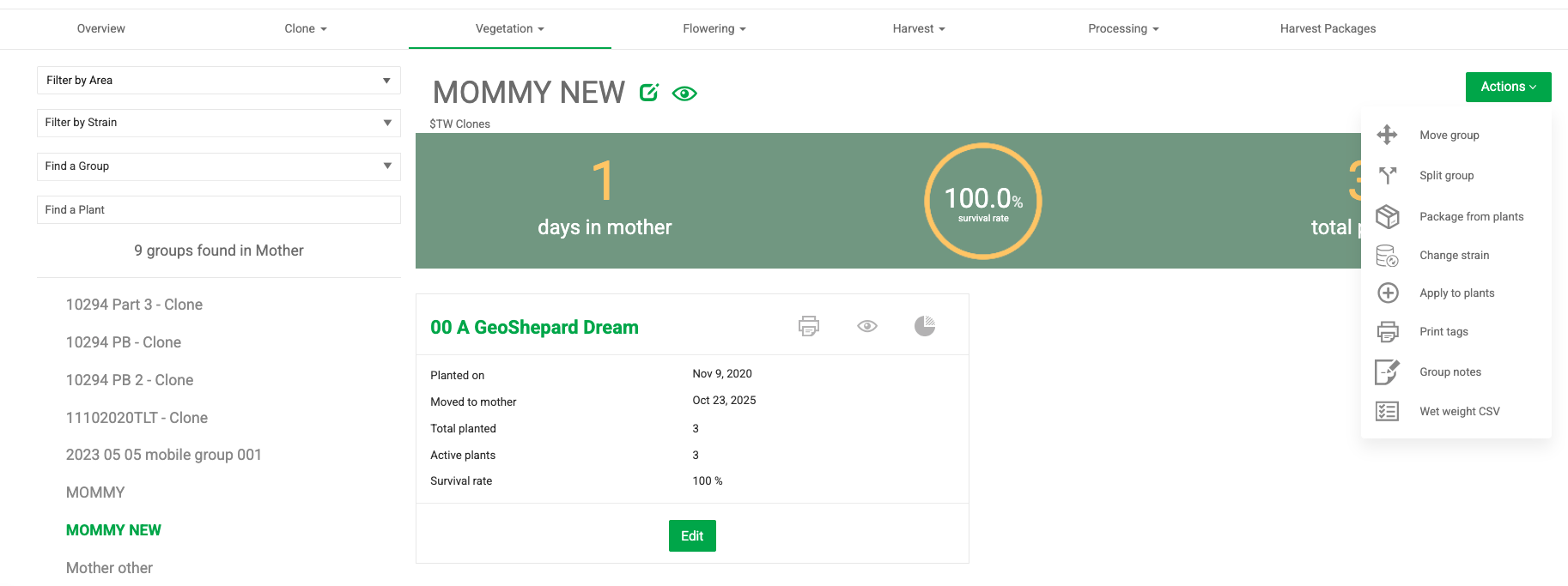 Actions on Mother Plant Groups