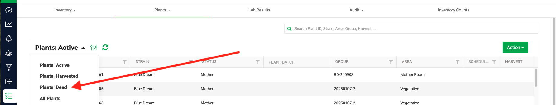 Plants-Dead