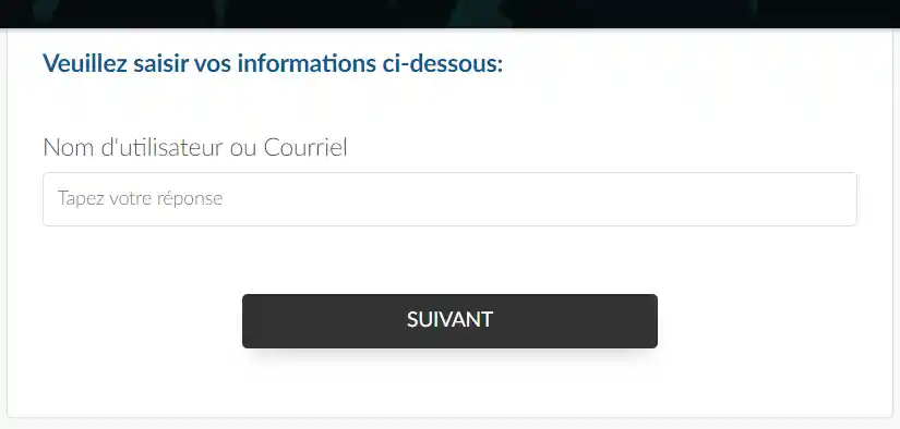 Image montrant le message de l'utilisateur pour donner des informations, par exemple une adresse e-mail ou un nom d'utilisateur