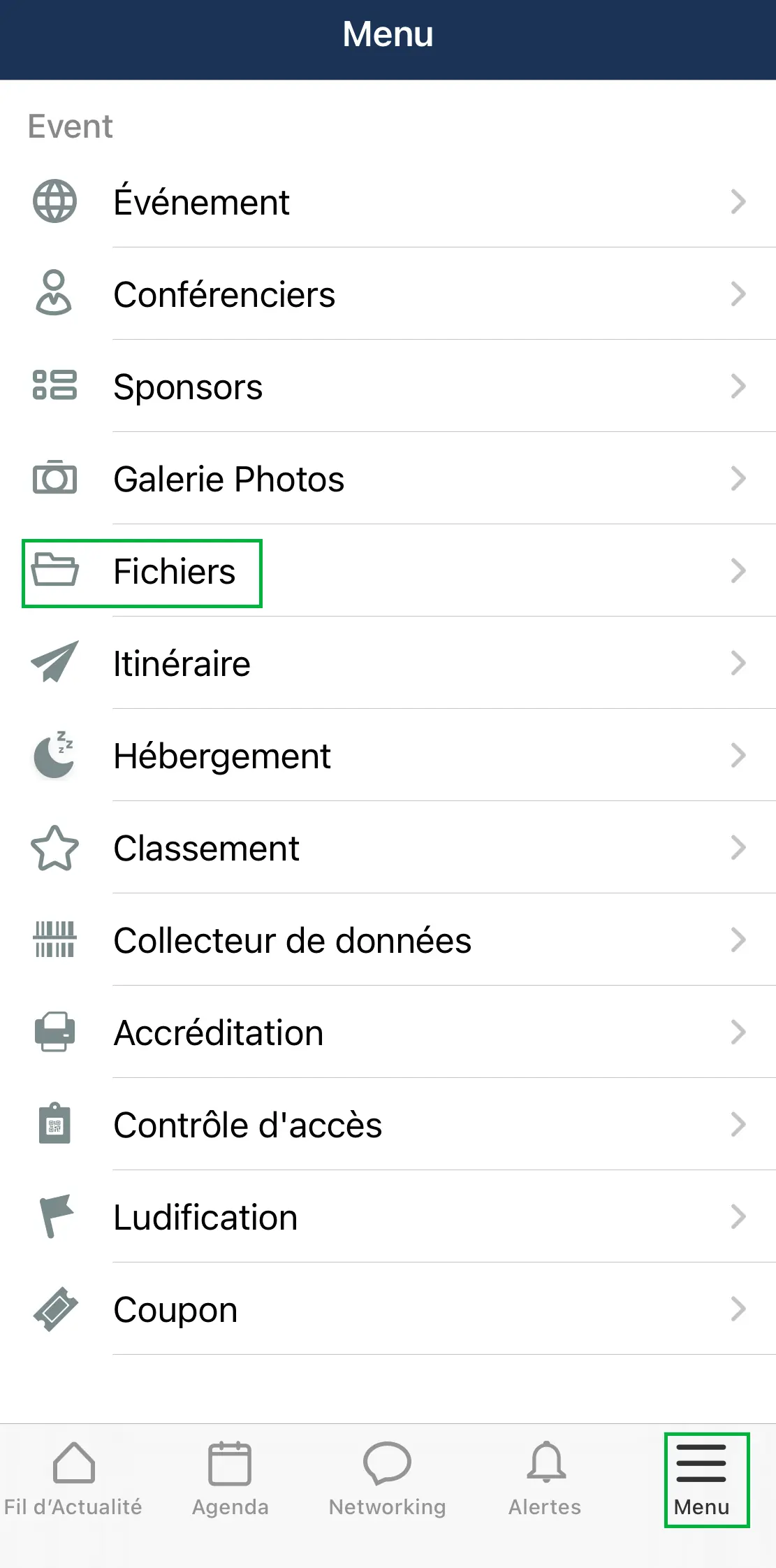 L'onglet Fichiers dans l'application