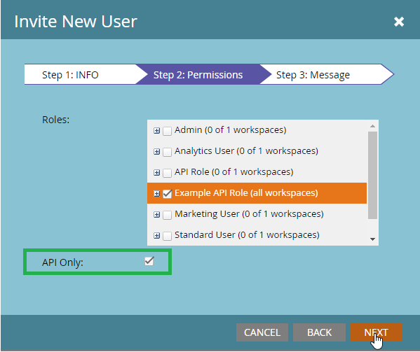 t check the 'API' option and also the 'API Only' and click on the Next button.