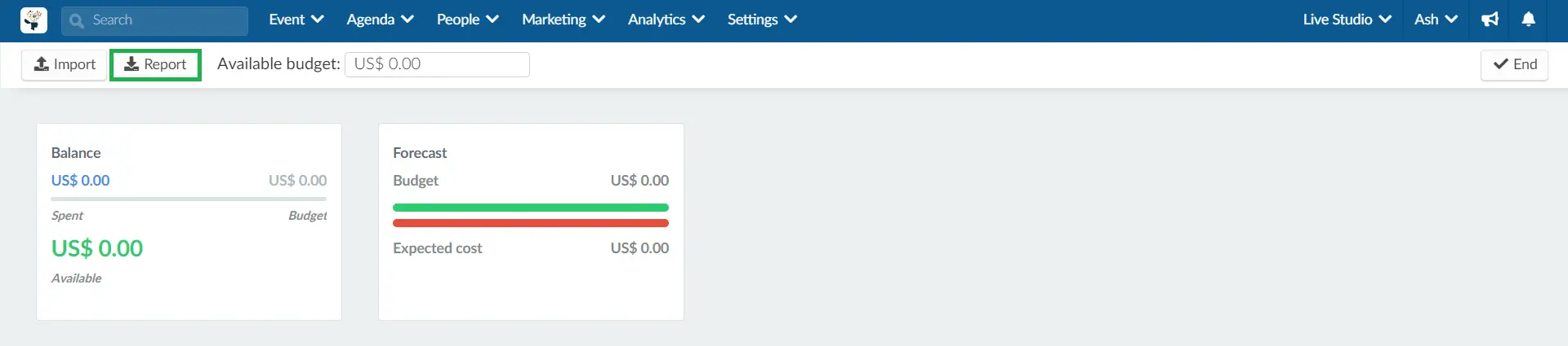 Extracting a budget report