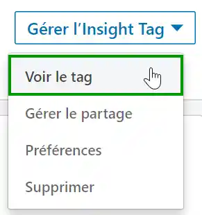 L'onglet "Gérer l'Insight Tag" affiche l'option "Voir le Tag" dans son menu déroulant.