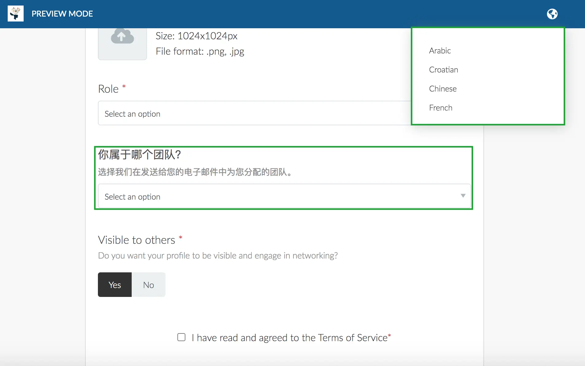 Image showing how fields appear after translation