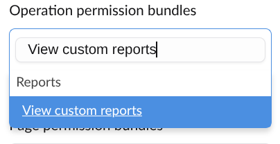 Screenshot showing the view custom reports permission