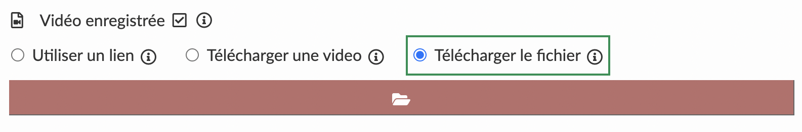 Télécharger le fichier dans une activité avec le mode vidéo préenregistrée