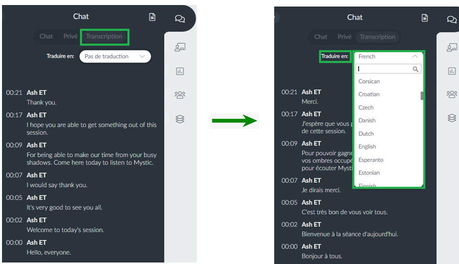 choisir une langue entre de nombreuses options