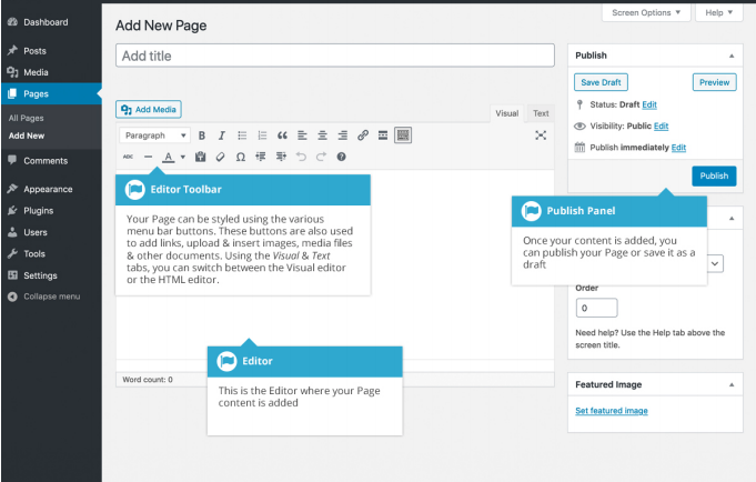 Creating a New Page in WordPress