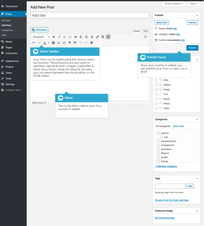 Creating a New Post in WordPress