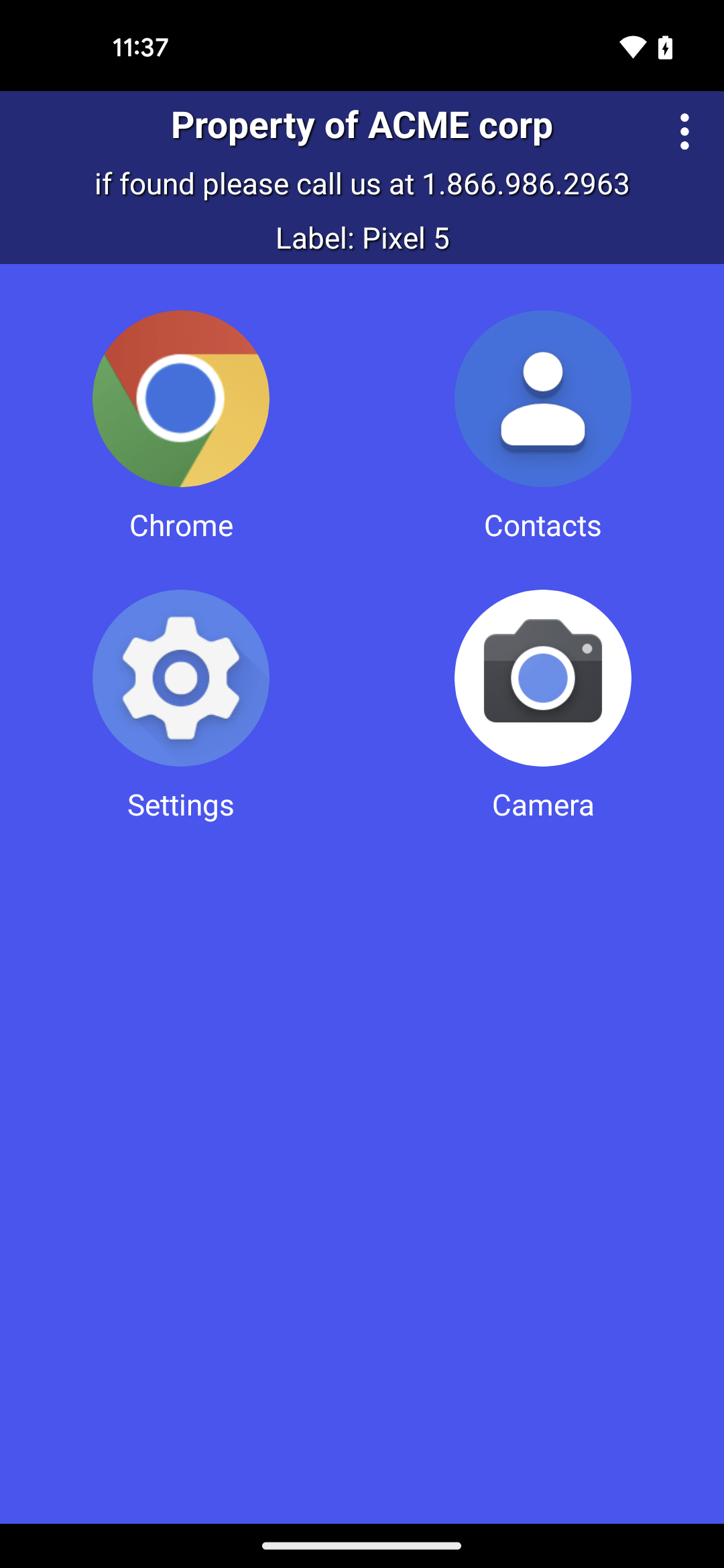 Codeproof Android MDM Kiosk Icons layout 2 columns