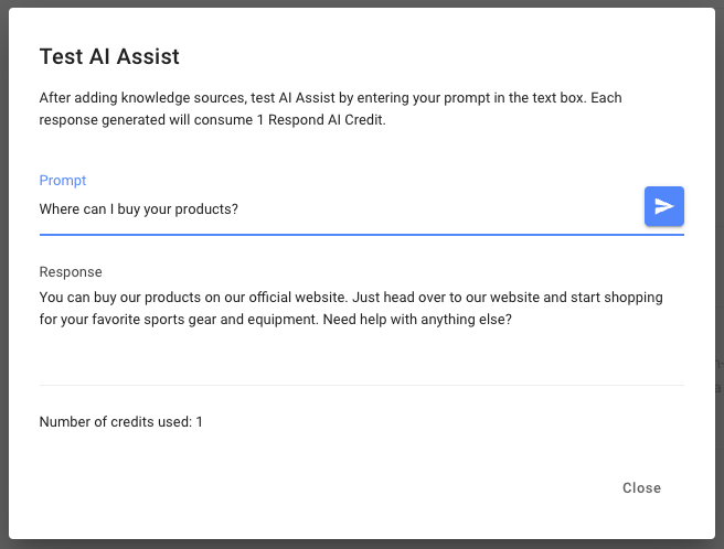 Test AI Assist Persona - Sporting Goods Example