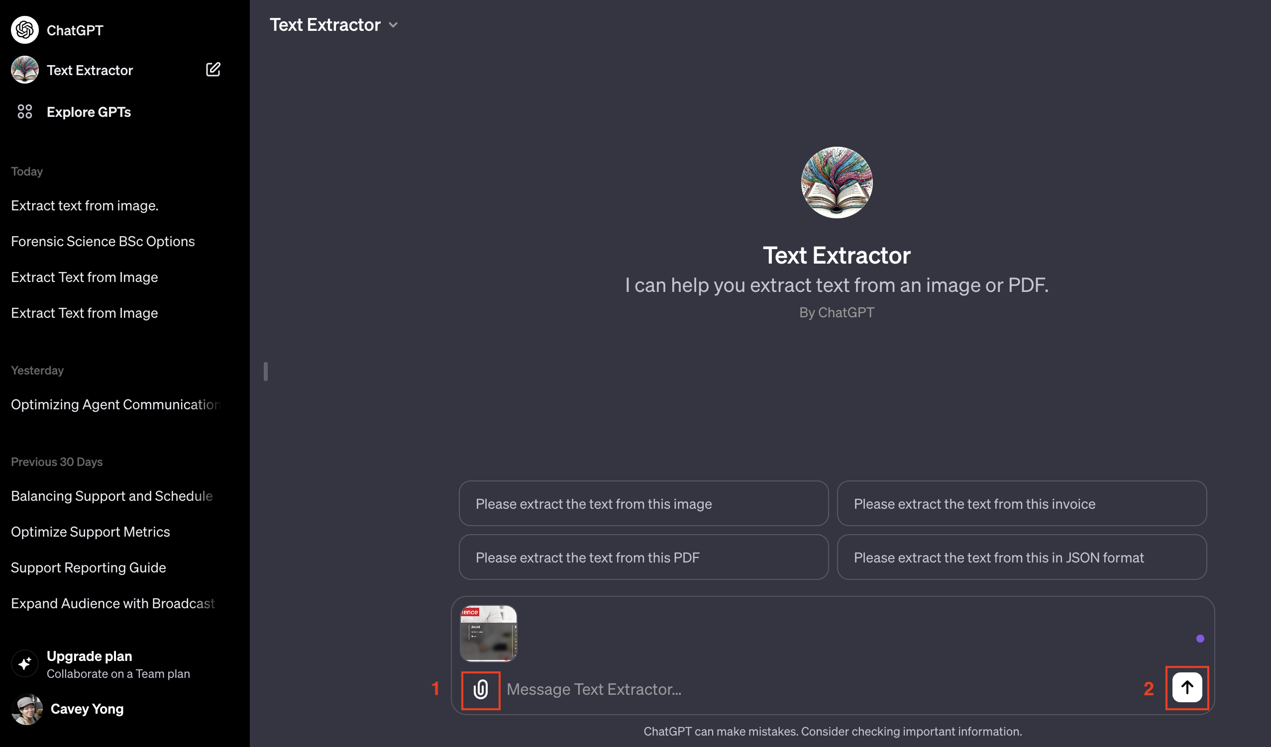 Text Extractor on ChatGPT-4