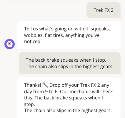 Chat where the agent's reply repeats the bike model and the two-line problem the visitor typed