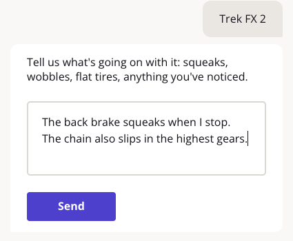 Long text area in the chat with a two-line answer about a squeaky brake and a slipping chain, and the Send button