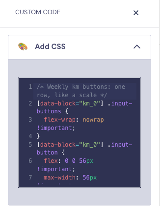 Custom code panel with the scale CSS pasted in the Add CSS editor
