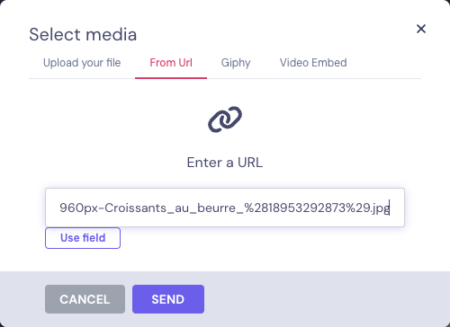 Select media dialog with the tabs Upload your file, From Url, Giphy and Video Embed, and an image link typed
