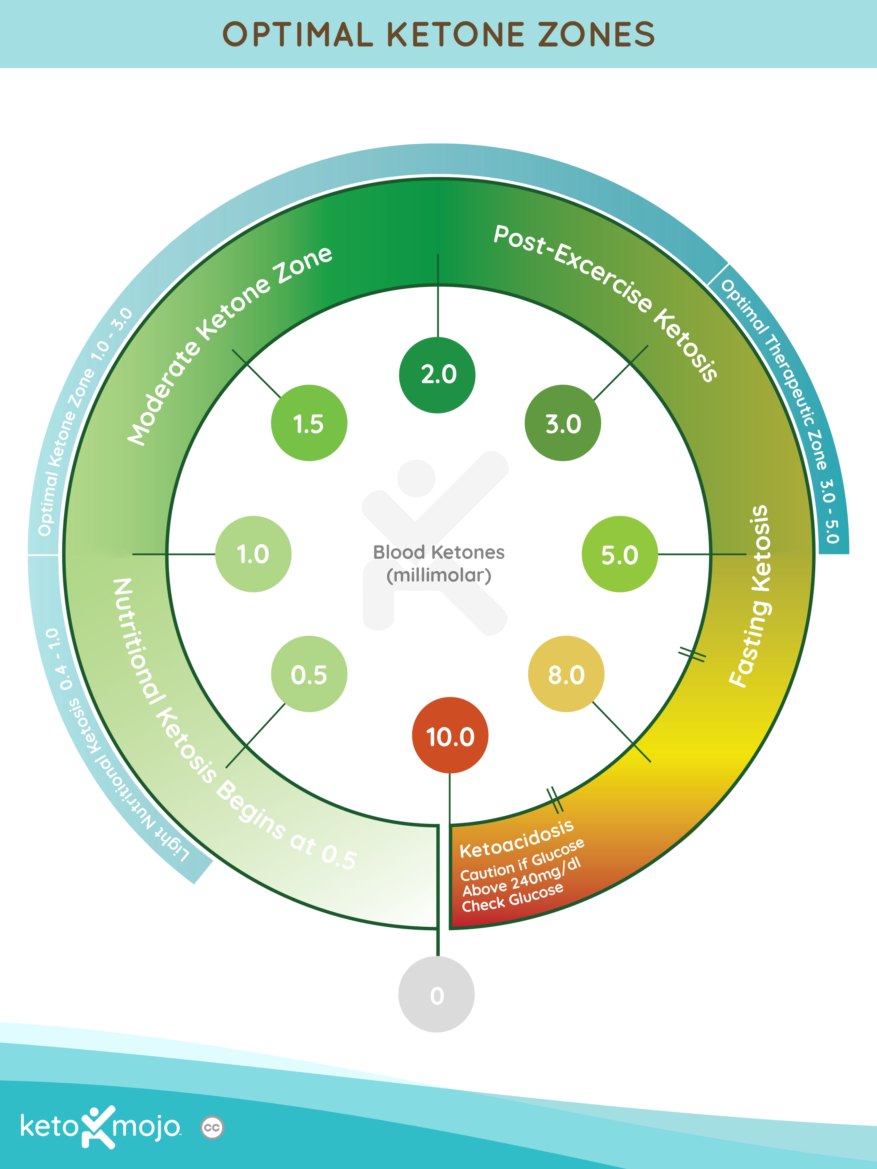 Keto Mojo Ketone Chart