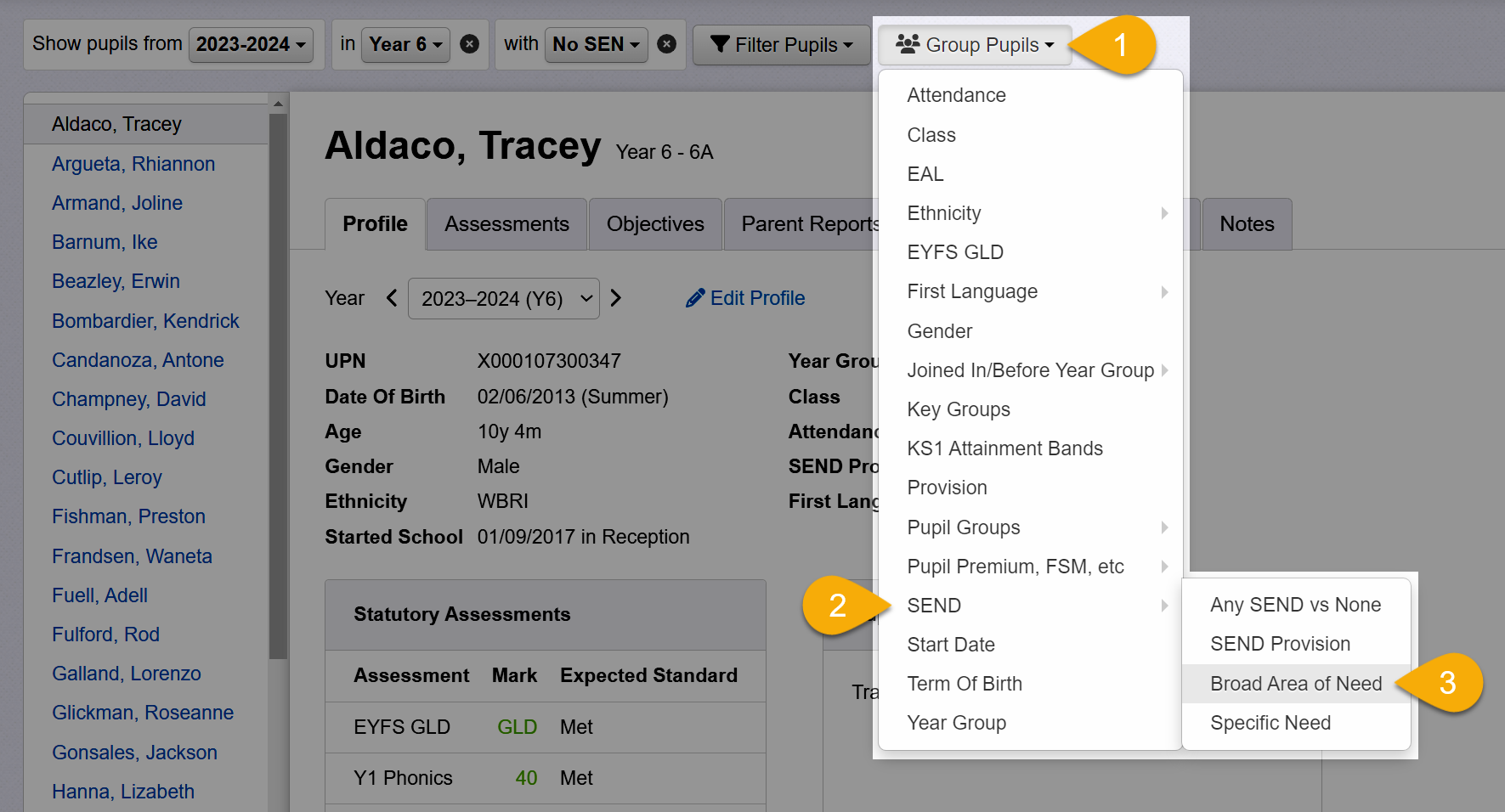 Group Pupils by SEND information