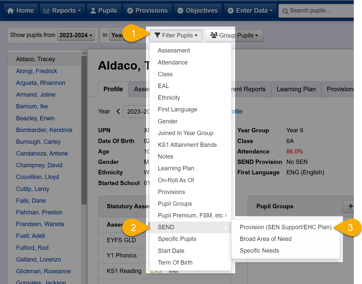 Click Filter Pupils and select SEND