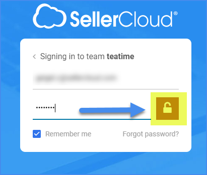 Login page - Delta interface