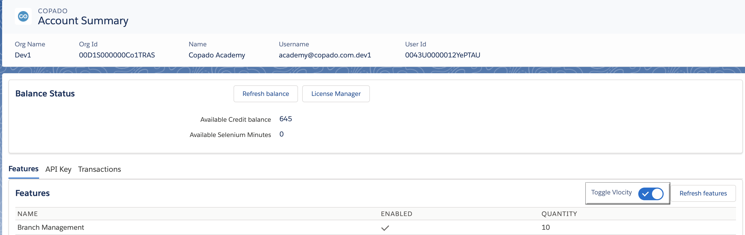 Vlocity Integration - Copado Solutions Documentation