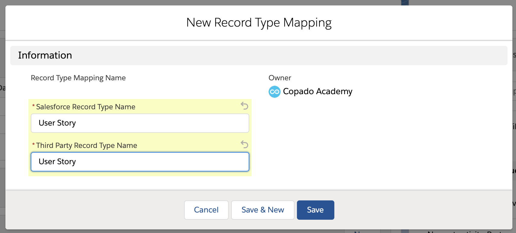 Example of a Record Type Mapping records for User Story