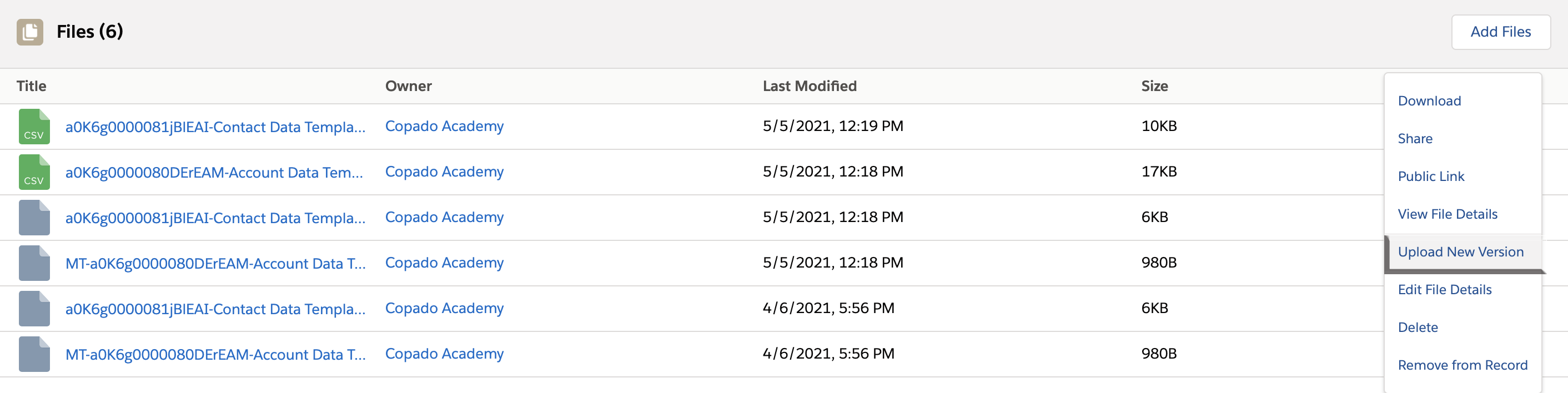 Upload New Version button