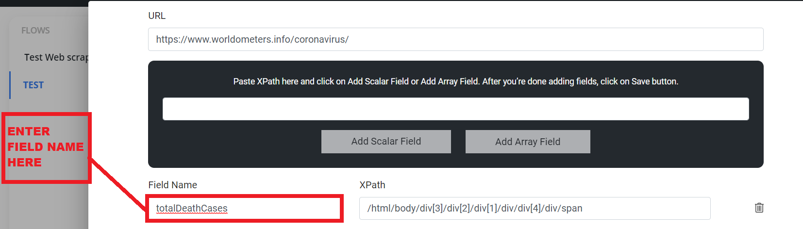 Field Name