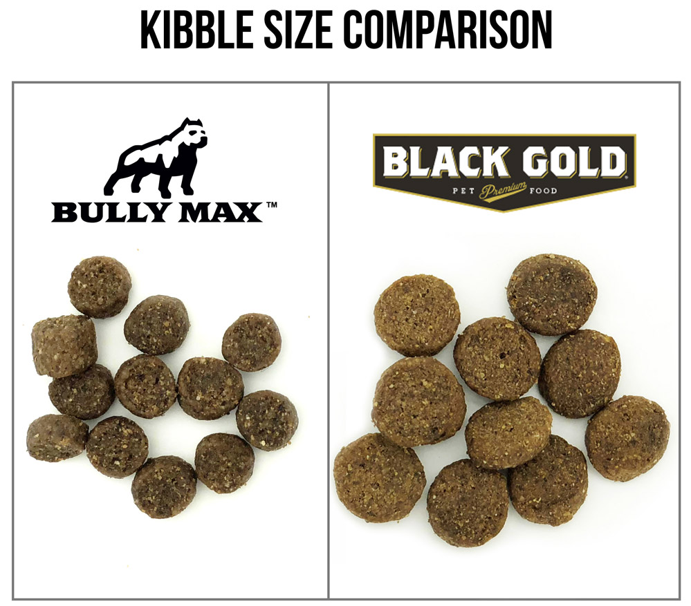 black gold dog food