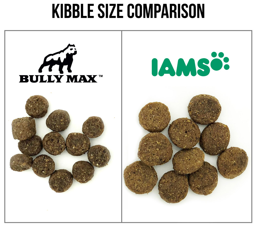 iams-kibble-size-comparison.jpg