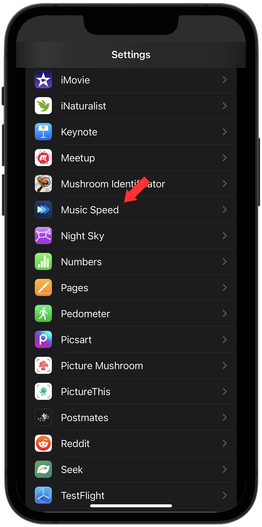 Music Speed in Settings App