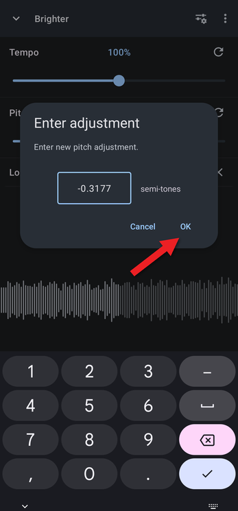 Enter adjustment dialog with -0.3177 typed