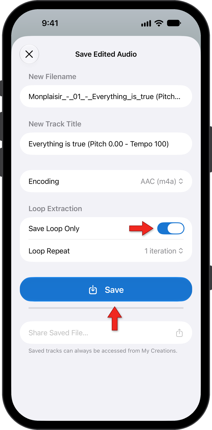 Turn on the option Save Loop Only