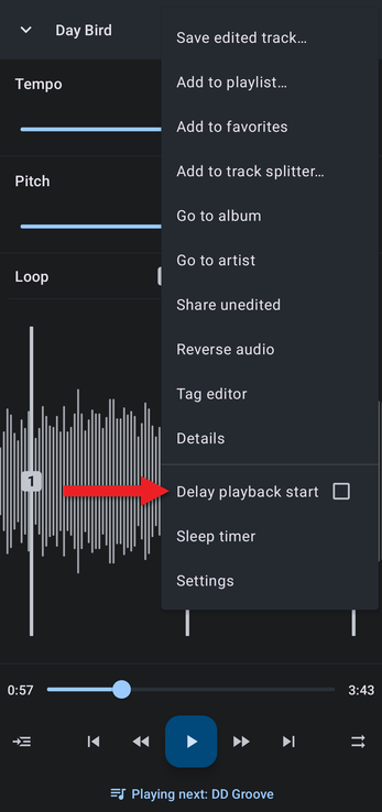 Editor menu with an arrow pointing at Delay playback start