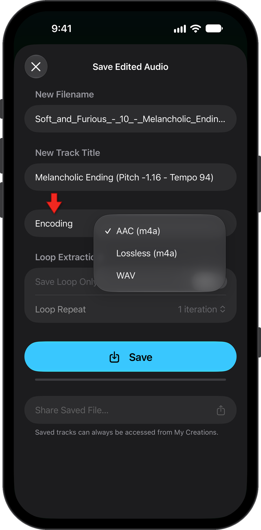 Encoding types for saving new audio tracks are m4a, lossless and WAV