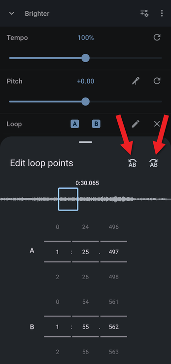 Edit loop points with arrows pointing at the skip backward and forward buttons
