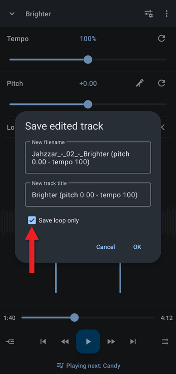 Save edited track dialog with an arrow pointing at Save loop only